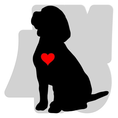 Samolepka Beagle 007