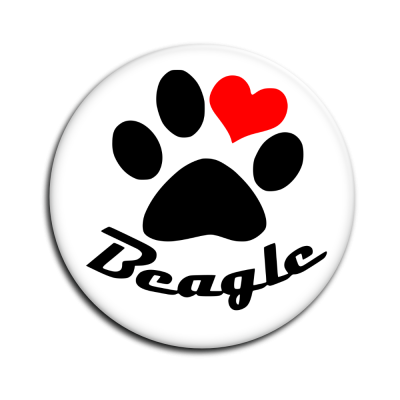 Placka Beagle 001
