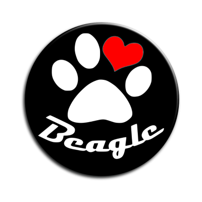 Placka Beagle 002