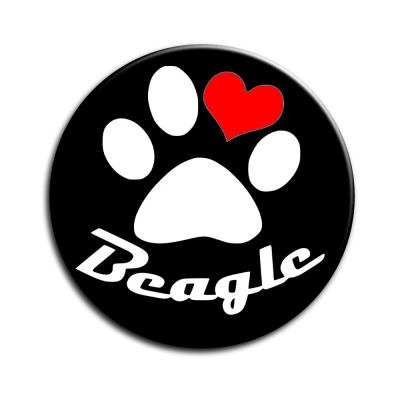 Placka Beagle 002