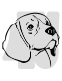 Samolepka Beagle 013
