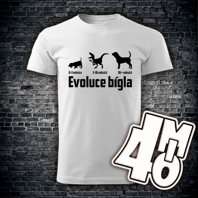 Pánské tričko Evoluce bígla
