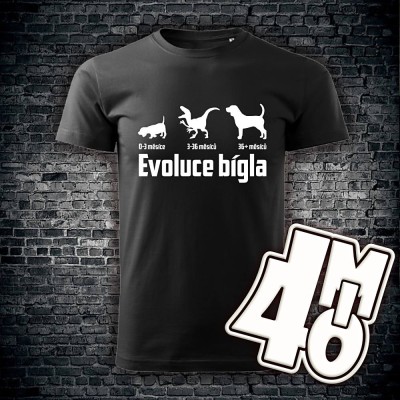 Pánské tričko Evoluce bígla