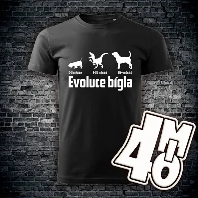 Pánské tričko Evoluce bígla
