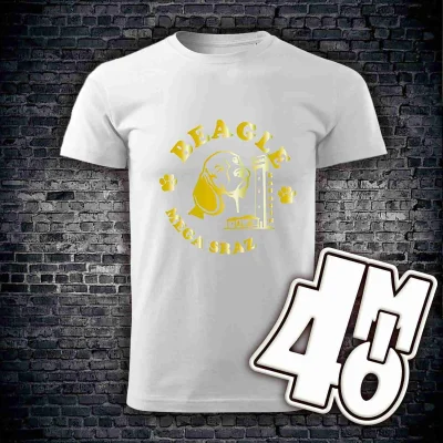 Pánské tričko Karasín